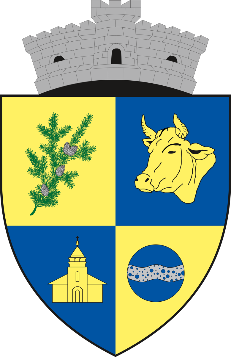 Primăria Comunei Bilbor